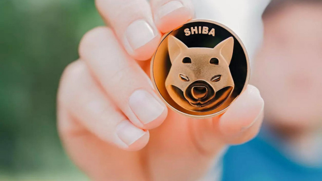 Shiba Inu.
