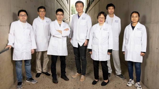 Tim peneliti pada University of Queensland (UQ) mengembangkan kaca anti pecah yang dapat digunakan untuk layar HP dan perangkat lainnya, dengan menambahkan unsur nanocrystals. (Supplied: University of Queensland)