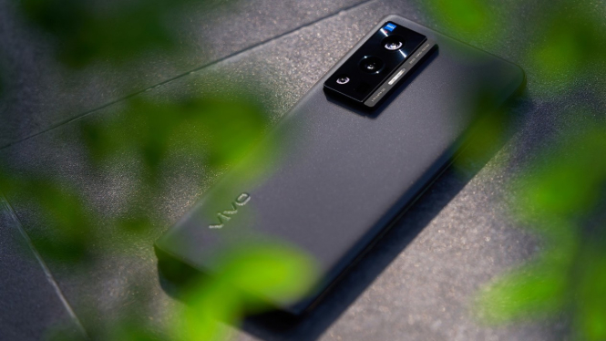 Vivo X70 Pro.