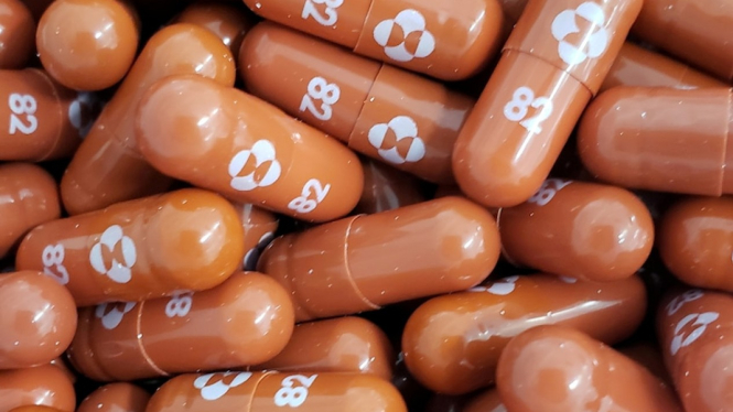 Molnupiravir menargetkan enzim yang digunakan virus corona untuk mereproduksi dirinya sendiri. (Reuters via Merck & Co)