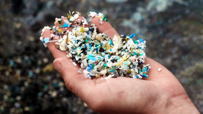 Mikroplastik.