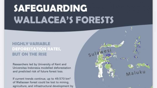Wallacea 