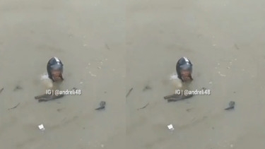 Viral Maling Mator Nyebur ke Sungai