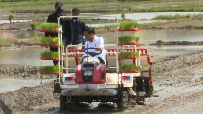 (FOTO ILUSTRASI) Presiden Jokowi tanam padi bersama petani di Jawa Timur.