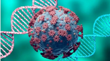 Virus corona