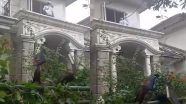 Viral Alquran Dilempar Petugas saat Eksekusi Rumah Yatim Piatu