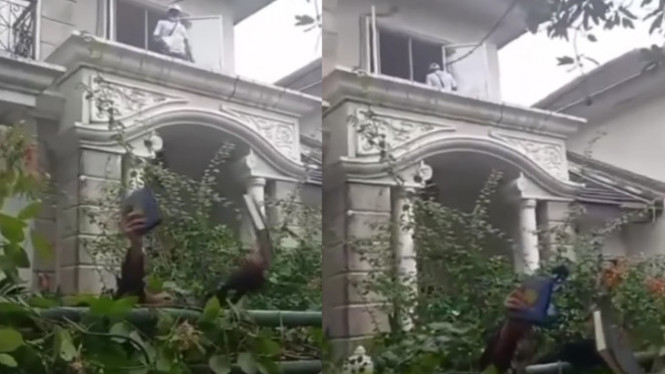 Viral Alquran Dilempar Petugas saat Eksekusi Rumah Yatim Piatu
