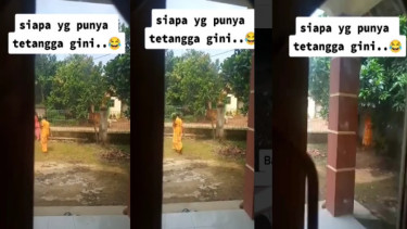 Viral Pemilik Rumah Rekam Tetangga Curi Buah Nangka