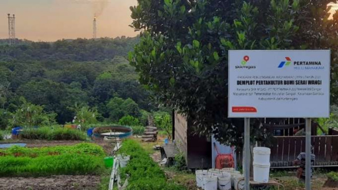 Program Pertanian 4.0 Pertamina Hulu Mahakam.