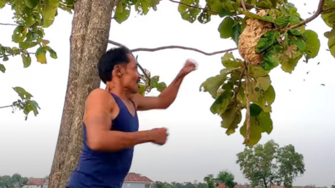 Viral Salam dari Majalengka Pukul Sarang Tawon 