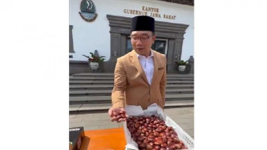 Gubernur Jawa Barat Ridwan Kamil ekspor jengkol ke Dubai
