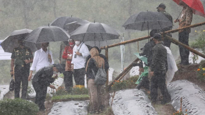 Presiden Jokowi saat mendatangi petani bawang di Wonosobo, Selasa 14 Desember 2021.