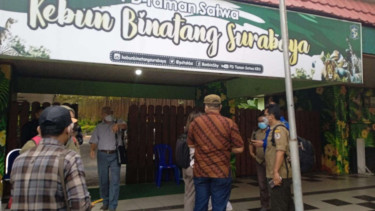 Tim Dari KLHK dan Praktisi Satwa Saat Mengecek KBS Surabaya 