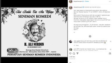 Pelawak Ali Nurdin
