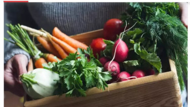 Sayur-sayuran 