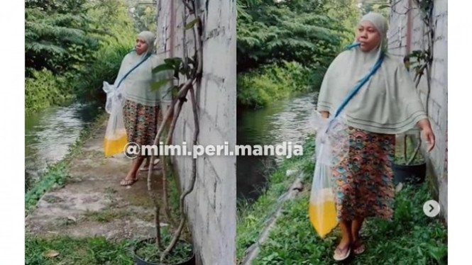 Parodi Noah