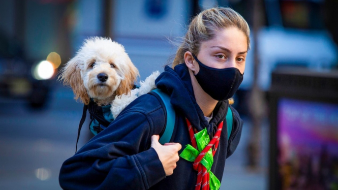 Pihak berwenang di Amerika Serikat belum mengubah petunjuk penggunaan masker, namun para pakar mengatakan masker kain tidaklah cukup melindungi dari varian Omicron. (Reuters: Eduardo Munoz)