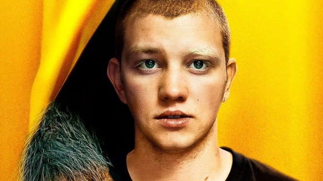 Film Teddy