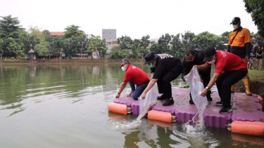 Penebaran benih ikan di Waduk Danau Kampung Bintaro