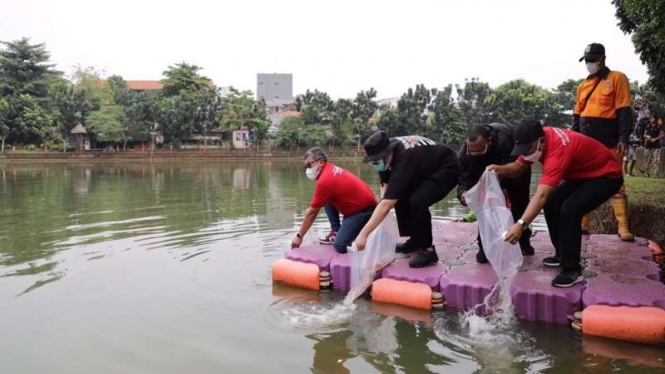 Penebaran benih ikan di Waduk Danau Kampung Bintaro