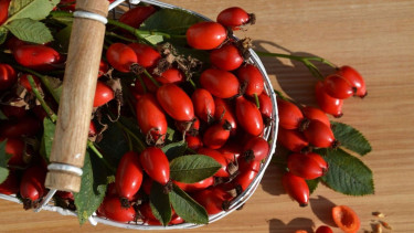 Rosehip