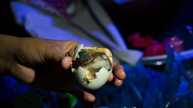 Balut, makanan teraneh