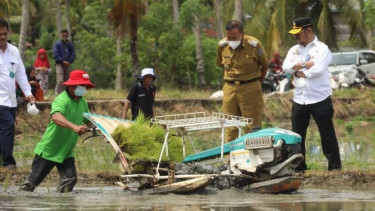 Menteri Pertanian Syahrul Yasin Limpo.