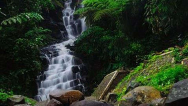 Air Terjun Irenggolo