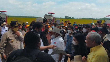 Airlangga hingga ARB panen Padi di Lampung.