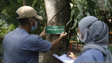 UMM Buka Kelas Pusat Unggulan Minyak Atsiri