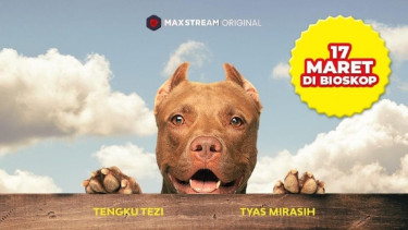 Film Marley 