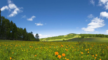 Pemandangan di Mongolia