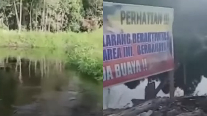 Viral Pria Dimakan Buaya di Tempat Ada Buaya