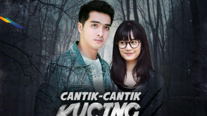 Cantik-Cantik Kucing Dapur.