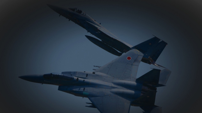 VIVA Militer: Jet Tempur Air Self-Defense Force