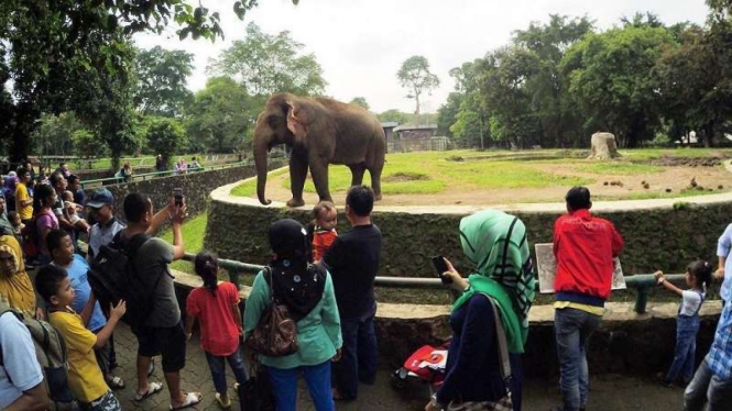 Warga yang sedang wisata ke Ragunan