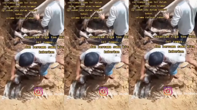 Viral 3 Ton Ikan Keramat Dikubur 