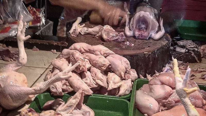 Daging ayam
