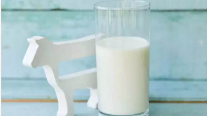 Susu sapi
