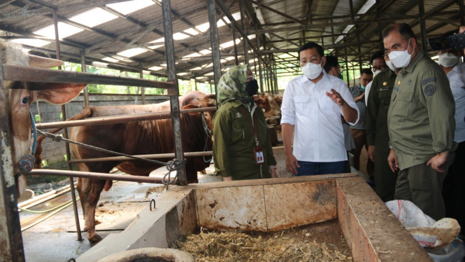 Peternak sapi dari Kabupaten Kediri