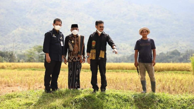 Menteri Pertanian Syahrul Yasin Limpo