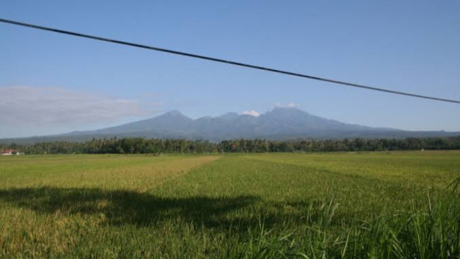 Gunung Wilis