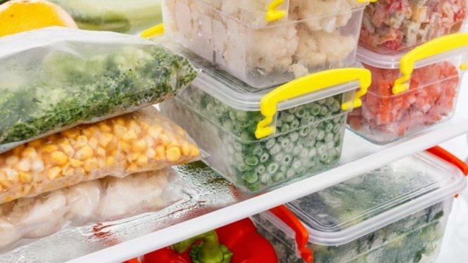 Makanan beku atau frozen food