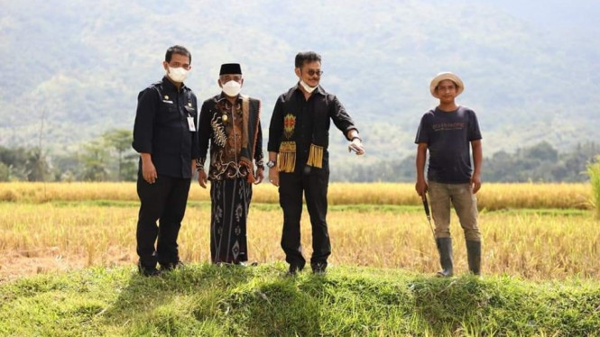 Strategi Kementan tingkatkan produksi pangan
