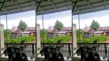 Viral Jamban Hanyut di Sungai Martapura