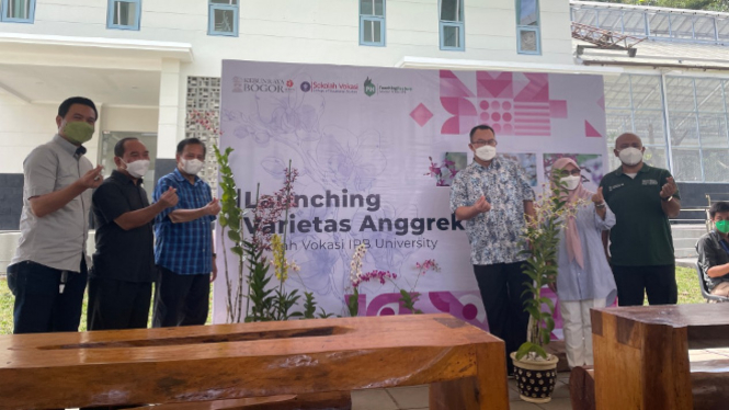 IPB University Punya Anggrek Jenis Baru, Namanya Anggrek Arif Satria