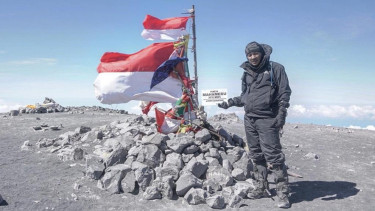 Makki Ungu