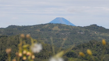Jalur Alternatif Kendal-Bandungan.