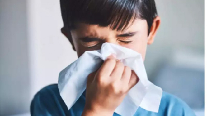 Anak flu 