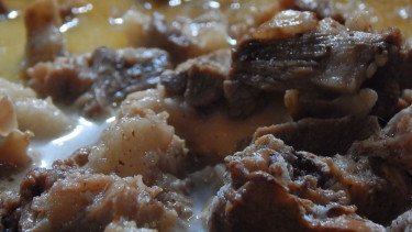 Brongkos sapi.
